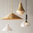 Lilliana 1-Light Dimmable Height Adjustable Pendant-1802870535-1802870534