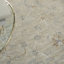 Tapis oriental gris Castanon-1553633215