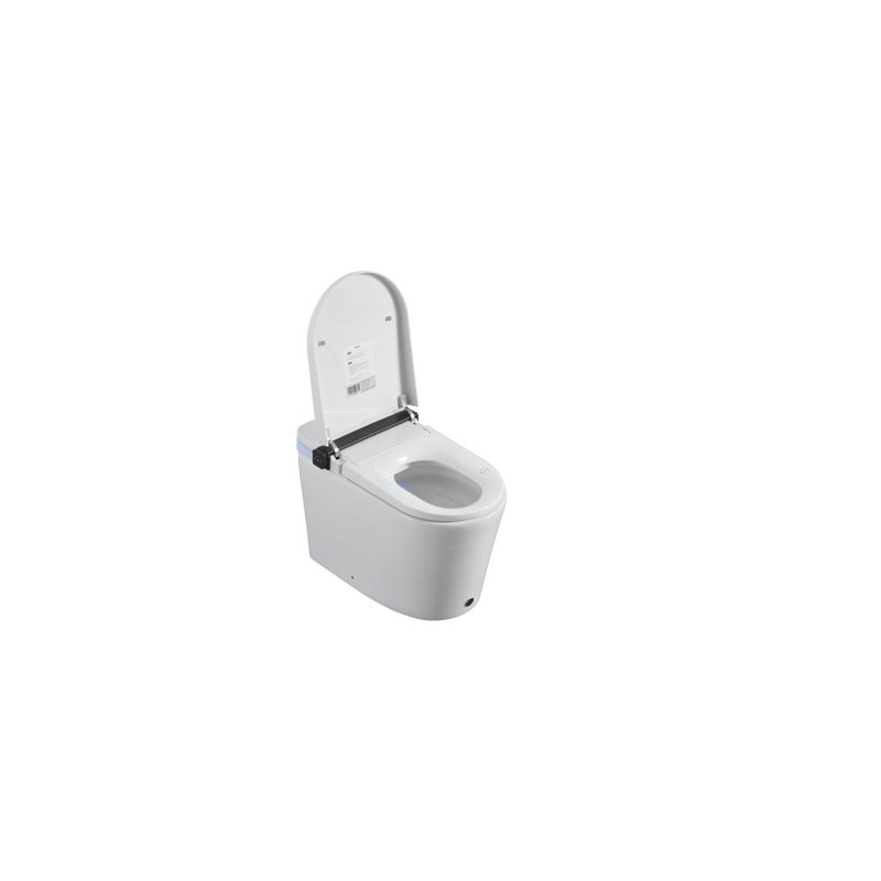Smart Toilet