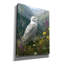  «Spring Owl 2» par Ann Klee, art mural sur toile, 26 po x 34 po-170855686
