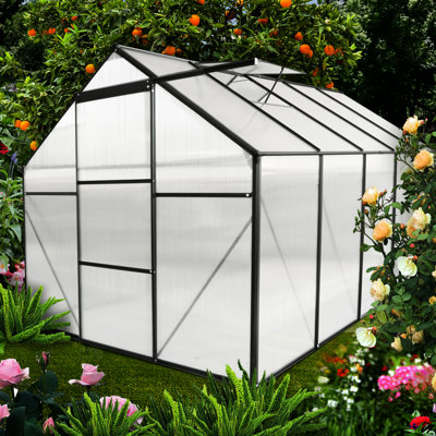 Serre en polycarbonate de 6 pi x 10 pi avec intérieur spacieux pour le jardinage toutes saisons, accès aux insectes, saison de pollinisation à l'extérieur