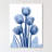 " Indigo Spring Tulips 2 "-23604777