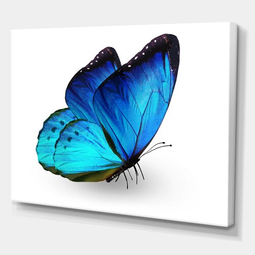Wayfair | Butterfly Wall Art You'll Love in 2023