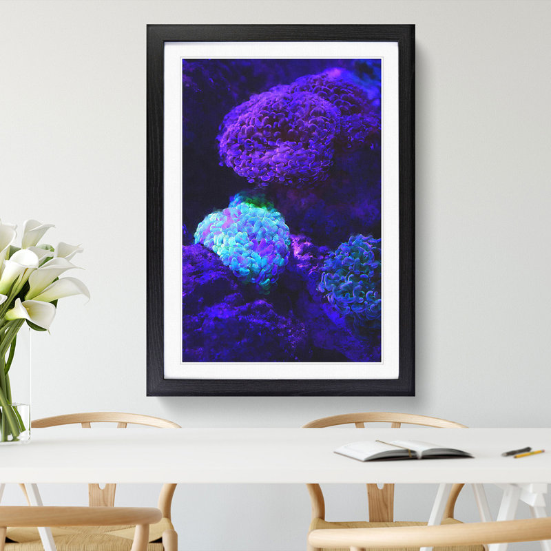 Luminescent Coral - Picture Frame Graphic Art, 65cm H x 48cm W x 2cm D, Black Framed