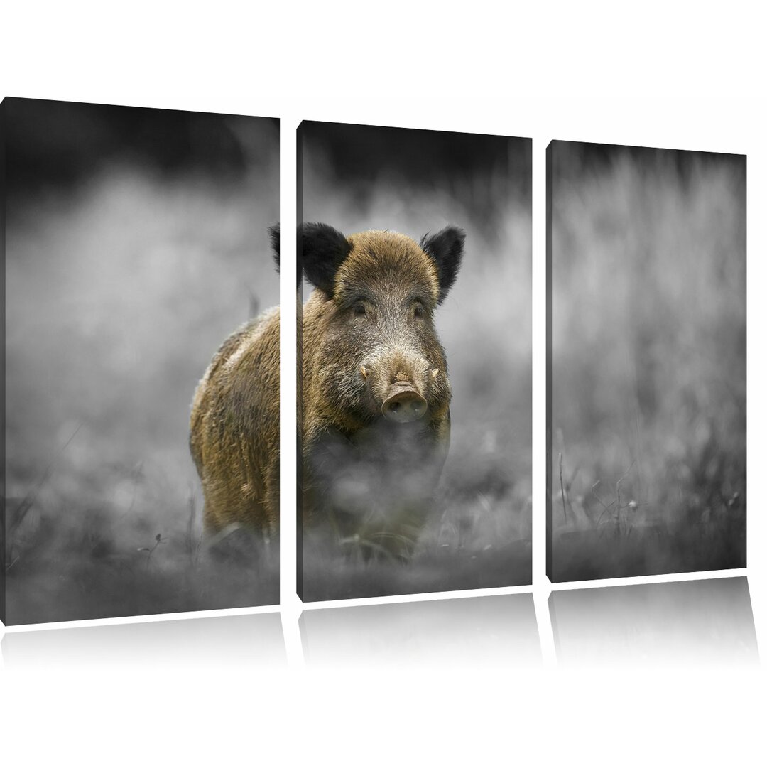 3-tlg. Leinwandbilder-Set „Einsames Wildschwein im Wald", Fotodruck