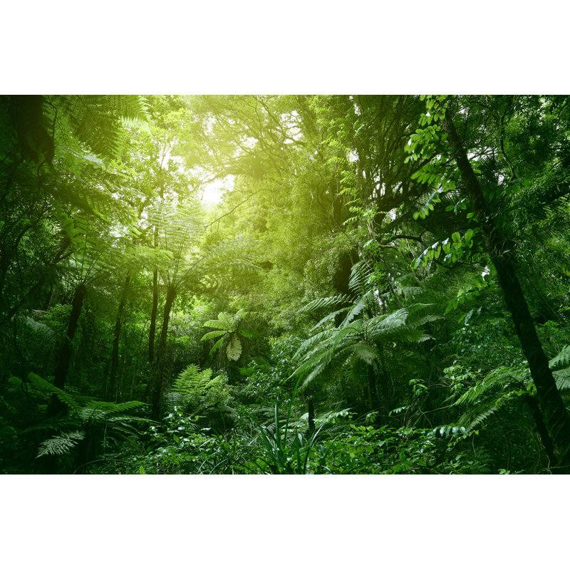 Canopy Of Jungle by STILLFX - Wrapped Canvas Print, 61cm H x 91cm W x 3.8cm D