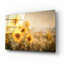 «Fall Sunflowers» par Ashley Bradley, art mural en verre acrylique-969448760