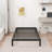 Penncross 9 Inch Bed Frame-783872761