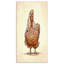 « color engravey campagne », reproduction d’impression sur toile tendue-29490032