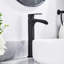 Waterfall Tap with Waste-1175223181