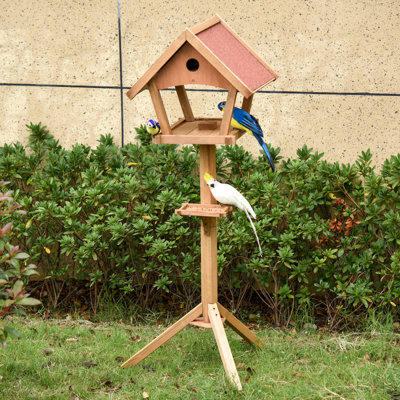 One-of-a-Kind 139 cm Bird Play Stand for Floor