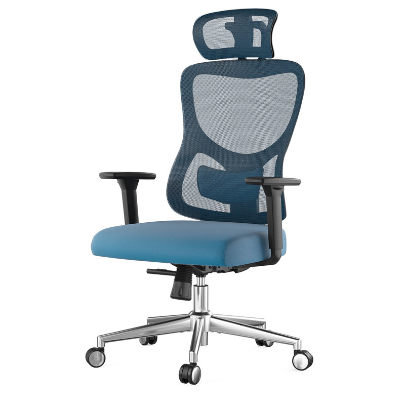 Ergonomic Mesh Office Chair with Adjustable Lumbar Support &Headrest, 3D Armrests, Reclining Function, Breathable Design