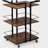 Multi-tier Salon Cart with Universal Wheels and Iron Rail