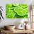 Yarlin Lime Slices-108730364