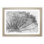 Dandelion Seed Sketch in Abstract - Picture Frame Graphic Art Print-55679815-55679814