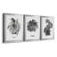 B&W d'intérieur plante I - ensemble de 3 reproductions d'art sur toile-1234909075-1234909072