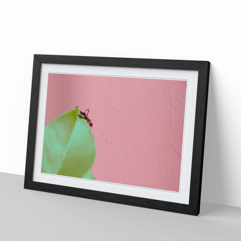 Red Ant - Picture Frame Photograph Print, 36cm H x 48cm W x 2cm D, Black Framed