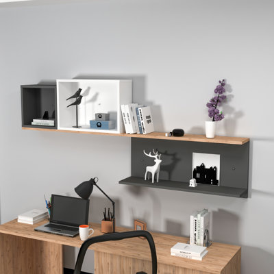 Caegan 4 Piece Accent Shelf
