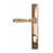 Polished Bronze