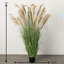 Rich Sienna 76'' Faux Plume Grass Plant in Planter