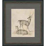 Antique Deer Painting