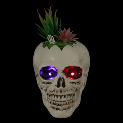 8.75" LED Lighted Succulent Halloween Skull Planter