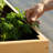 Janay Large Wood Raised Garden Bed-648978044