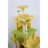 71 inch flower cat tree-114286257