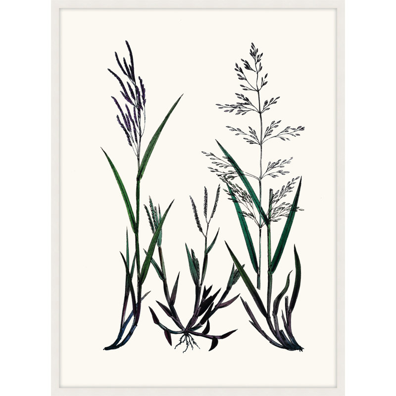 Careful In Contemplation 2 Print, 24" H x 18" W x 1" D