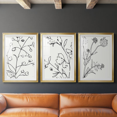 Botanical S croquis I - Impression encadrée sur mesure de qualité supérieure - 3 pièces