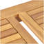 2 CHAISES CLUB CAYDON + TABLE