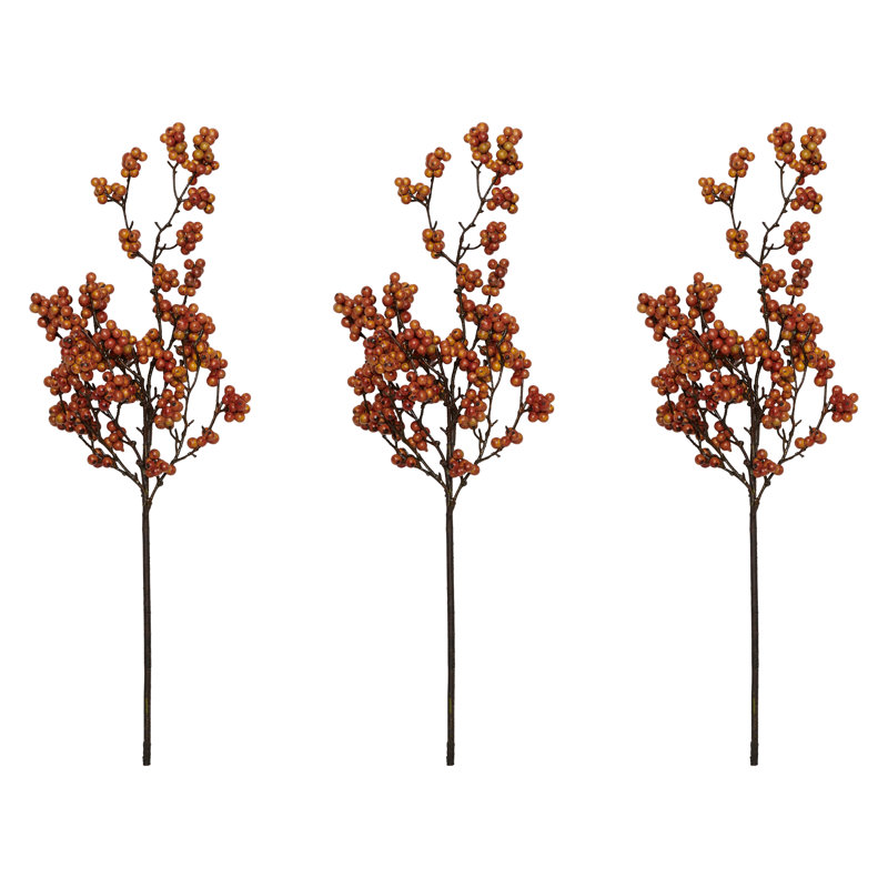 Berry Arrangement, Orange