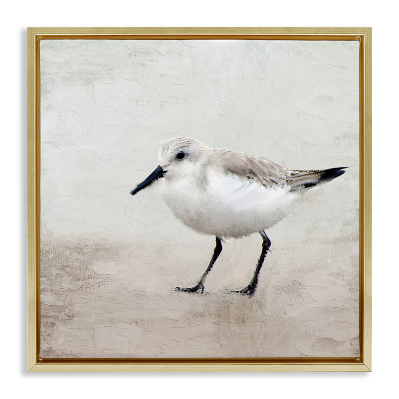 Lone Sandpiper Bird Portrait, Metallic Gold Floater Frame, 25" H x 25" W