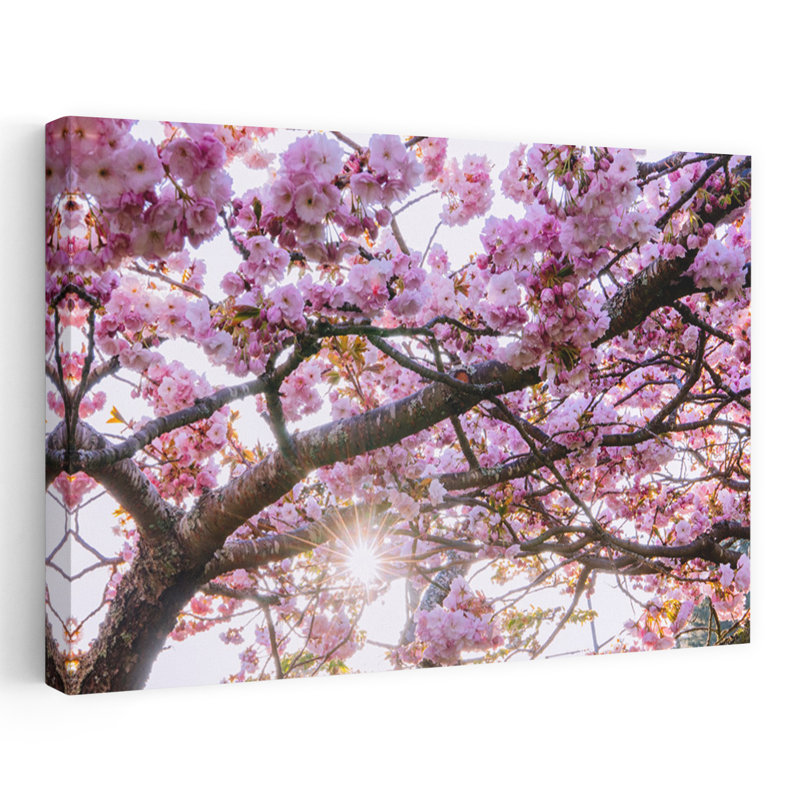 Kwanzan Cherry tree silhouetted against bright sky 1 Piece Wrapped Canvas Wall Art, 101.6cm H x 152.4cm W