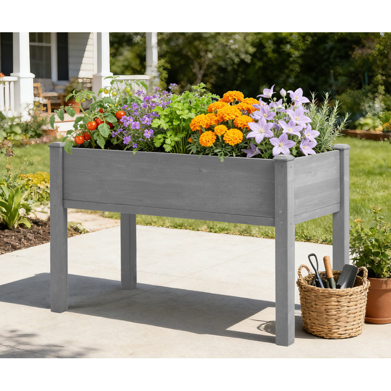 Boîte à fleurs surélevée en bois Darral, H 30 po x l 48 po x P 24 po, Naturel