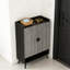 Armoire de rangement flexible, armoire à chaussures, range-chaussures