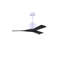 Nan 42" Ceiling Fan In Blades-1662758410-1611395865