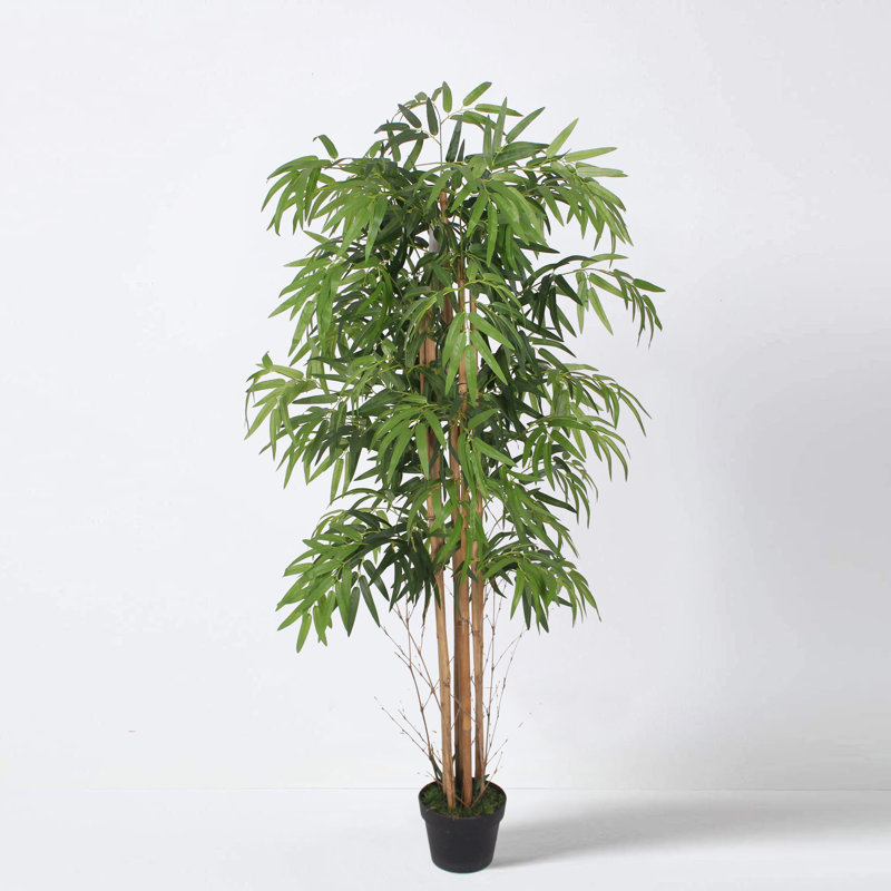 160cm Faux Bamboo Tree in Pot