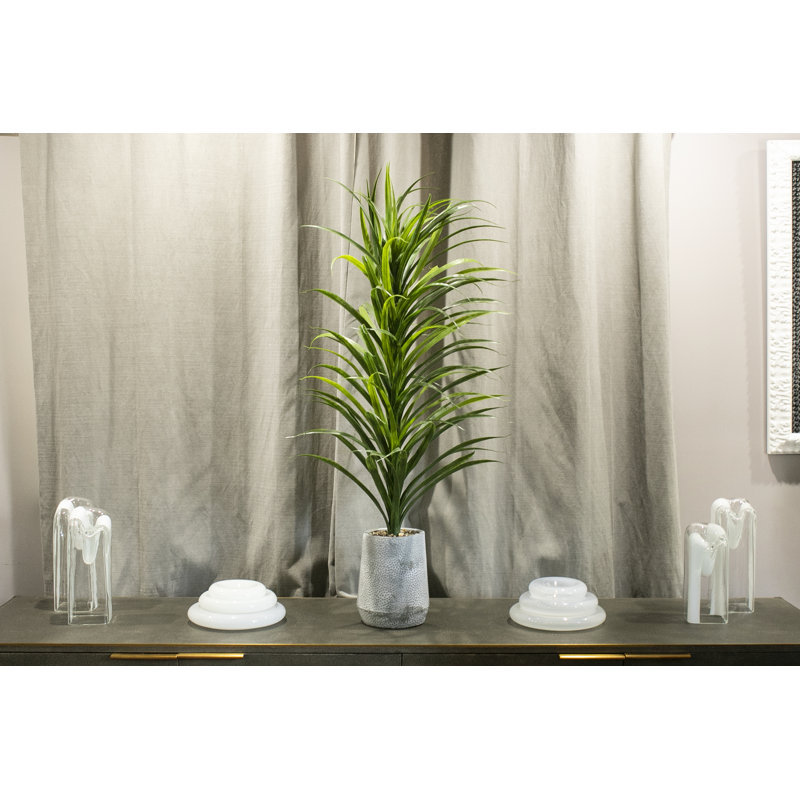 56 po plante artificielle araignée artificielle en yucca, 2