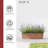Pot Planter-78921109-78921111