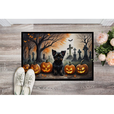 Nurdogan Affenpinscher Spooky Non-Slip Indoor Outdoor Door Mat