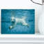 Ours polaire nageant sous l'eau - reproduction de photo sur toile-25565628