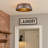 Worthing Steel Flush Mount-899314089