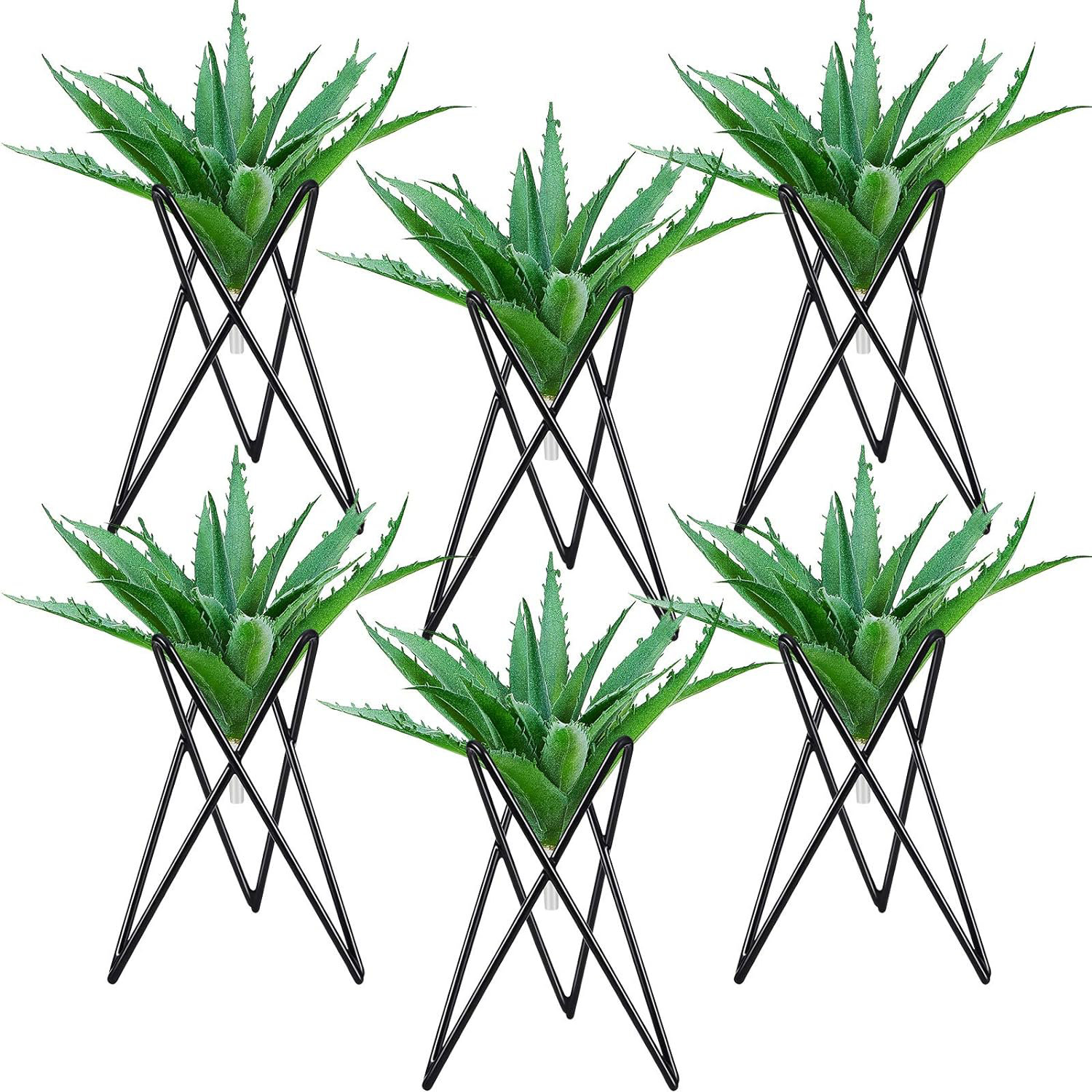 Buy the latest Air Plant Wire Air Plant Decor at great prices