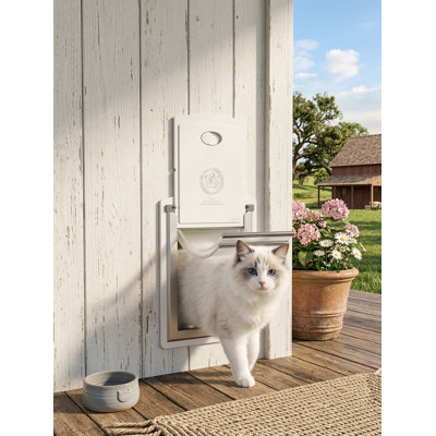 Energy-Efficient Wall Pet Door, Steel Frame, Expandable Tunnel, Dual Magnetic Flaps & Sliding Lock Panels, Compact for Cats, Milky White