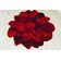 Kunzler Performance Floral Indoor Rug