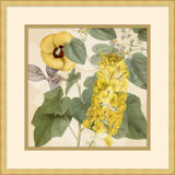 Golden Briar 6 Print