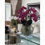 Olympian Phalaenopsis Orchids Centerpiece in Planter-849736862-849736863