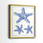 Impression encadrée Blue Sea Stars V-Premium - prête à être accrochée - aucun clou requis - aucun clou requis