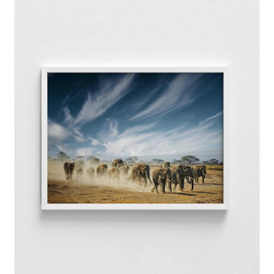 Elephant Herd on the Plains – Framed Wildlife Photography Print